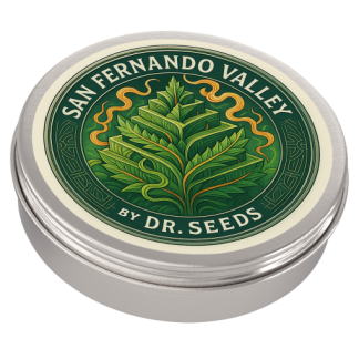 San fernando valley2