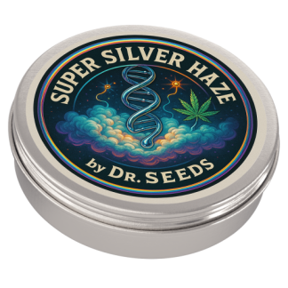 Super silver haze seeds