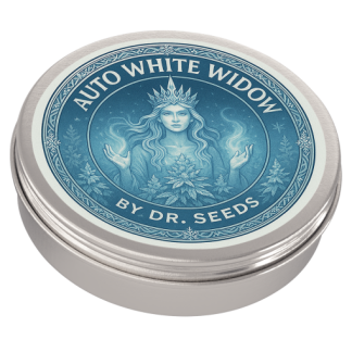 White widow autoflower