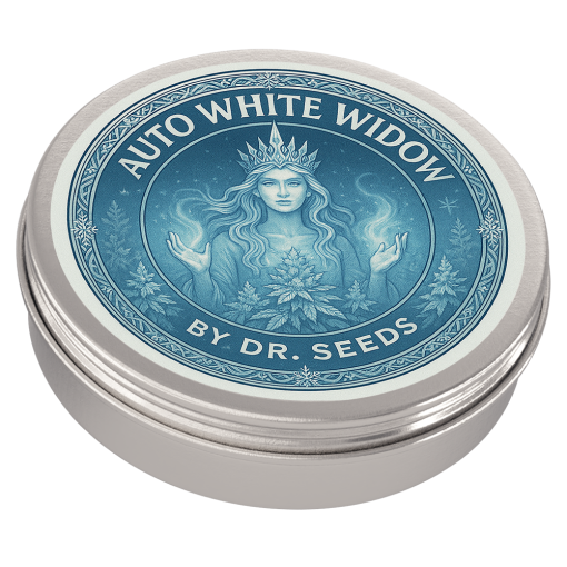 White widow autoflower