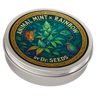 Regular Seeds (Not Feminized)