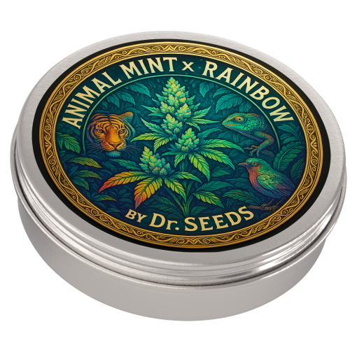 Animal mint rainbow photoperiod feminized seeds