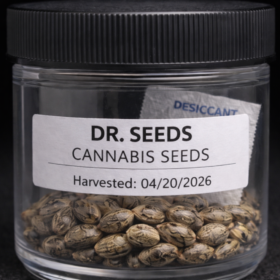 ChatGPT Image Mar 4, 2026 at 12 43 08 PM