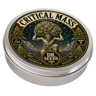 CRITICAL MASS TIN
