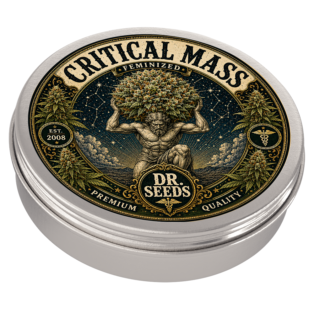 CRITICAL MASS TIN