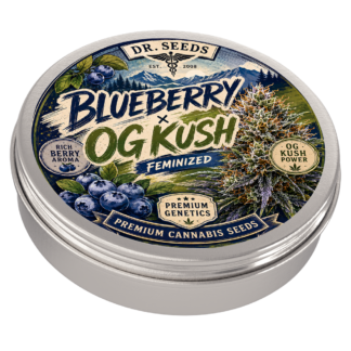 Blueberry og kush feminized tin2