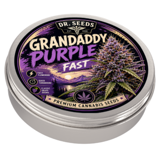 Grandaddy purple fast