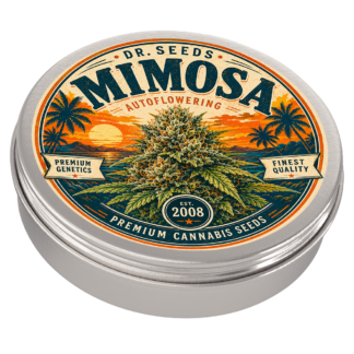 Mimosa tin auto