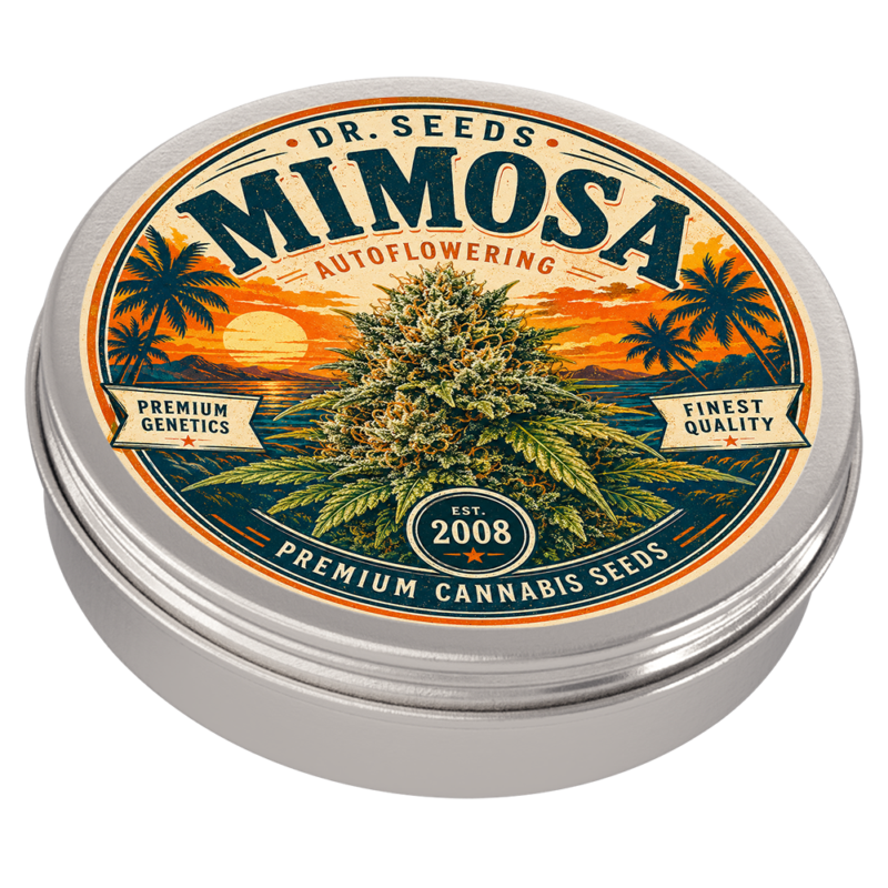 Mimosa tin auto