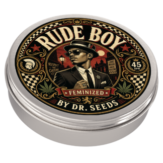 Rude boy tin feminized