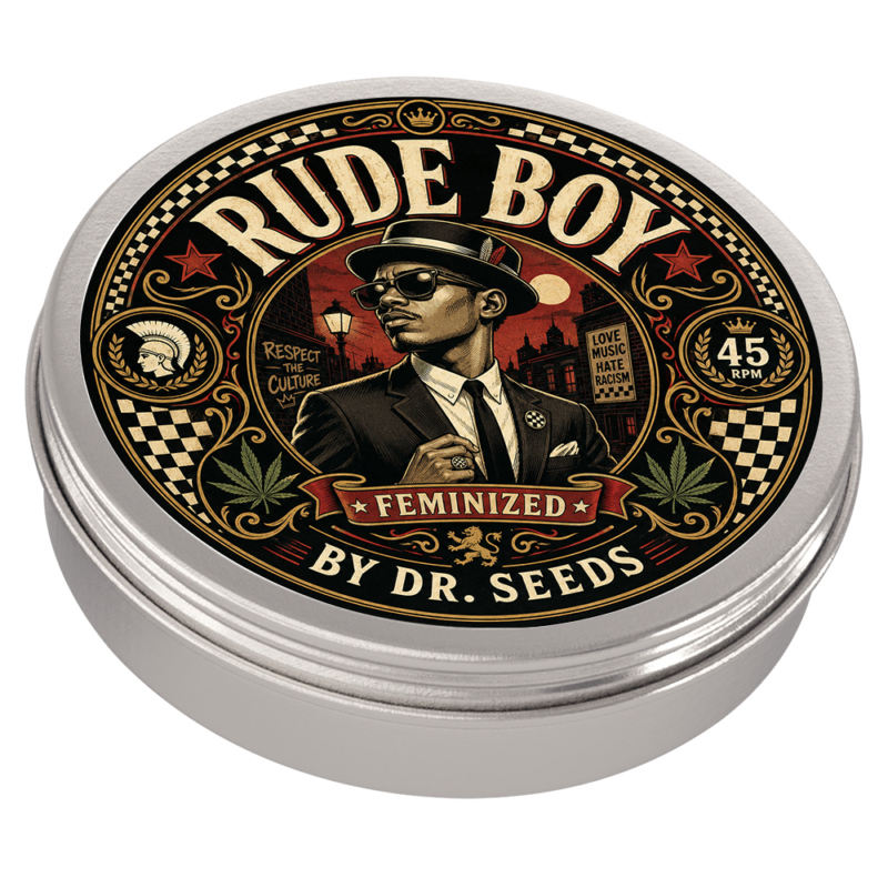 Rude boy tin feminized
